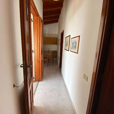 Fico D'india - Housing *