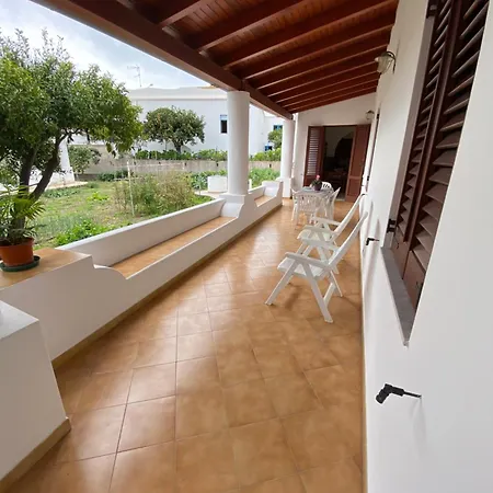 Fico D'india - Housing *